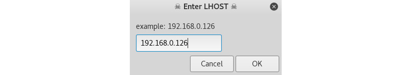 Figure 10.25 – Entering the local IP address
