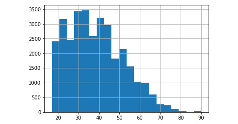 Figure 4.83: Histogram of age with a bin size of 20
