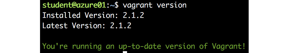 Verifying the vagrant installation using the version command