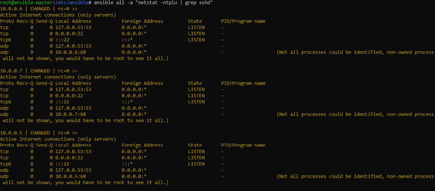 Output of netstat and grep ssh command