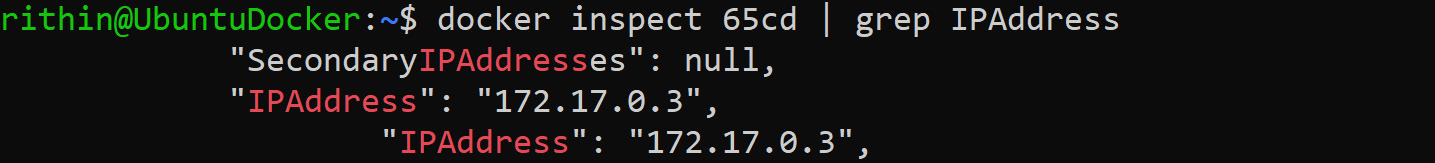 Output of the IP address of the container