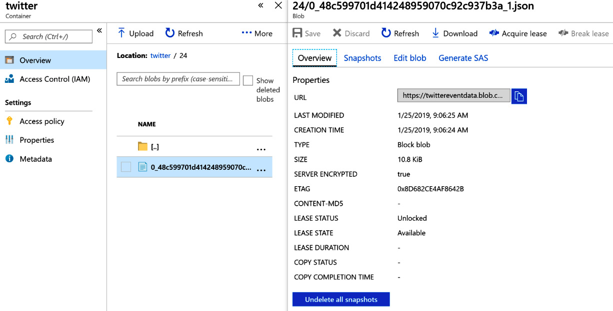 Checking the storage account container data