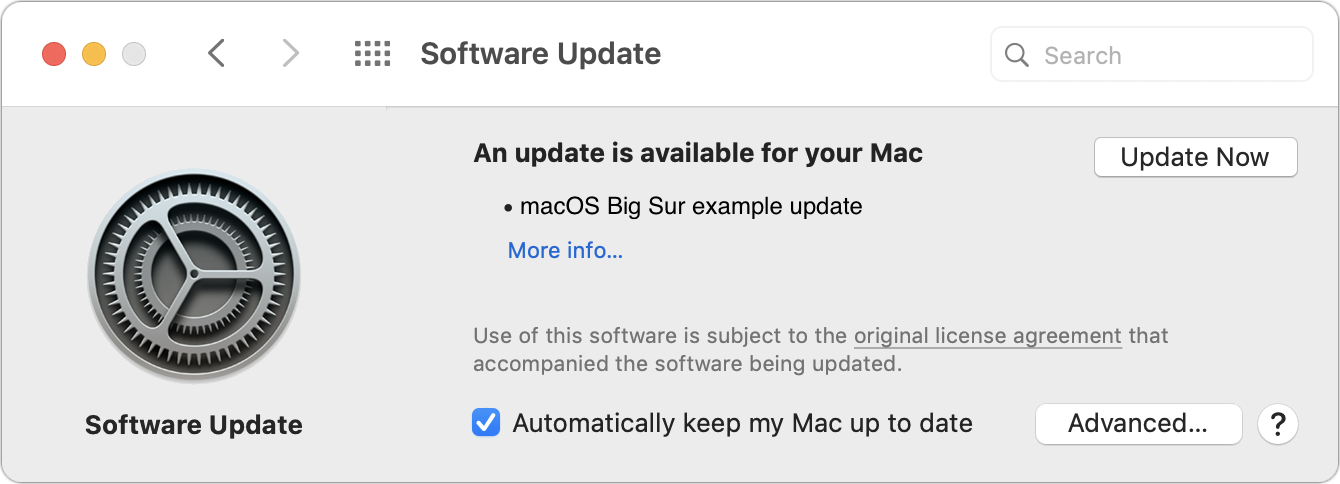 Figure 6: Configure automatic updates in the Software Update pane.