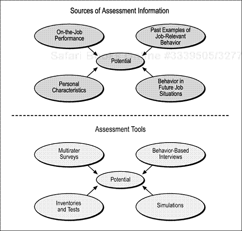 How Assessment Tools Map to Sources of Assessment Information