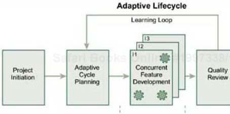 The Adaptive Life Cycle Phases