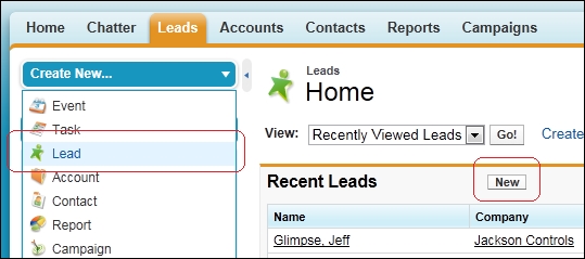 Creating lead records within the application