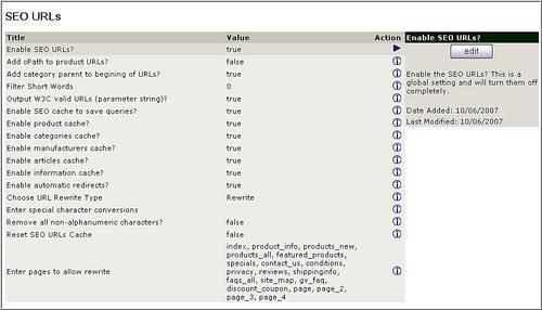 Using Search Engine Friendly URLs