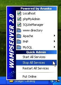 Setting WAMP server