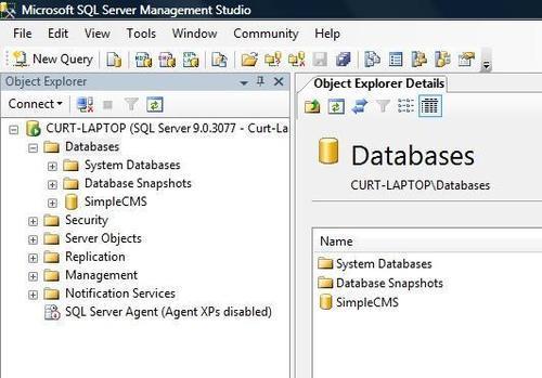 Upsizing to the SQL Server