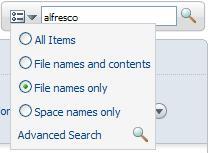 Search file names only