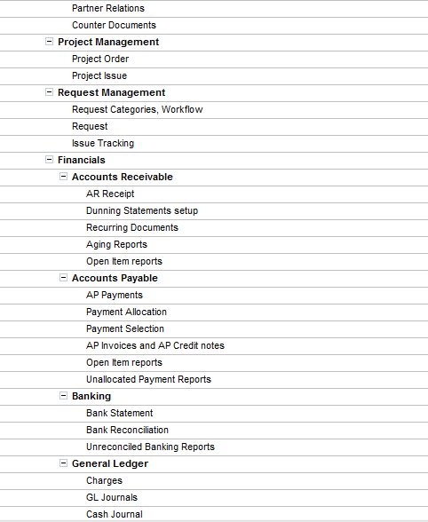 The implementation project plan