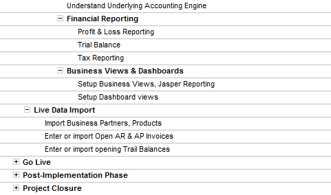 The implementation project plan