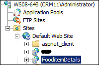 Deploying custom web applications to Microsoft CRM 2011