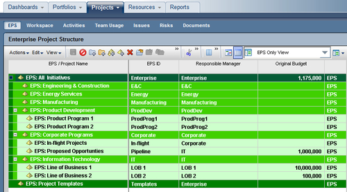 Enterprise Project Structure (EPS)