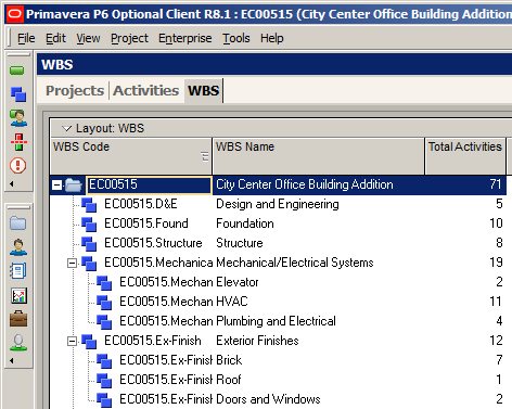 Work Breakdown Structure (WBS)