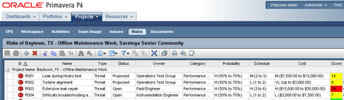 Risks: P6 Enterprise