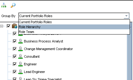 Frame C—resources and roles