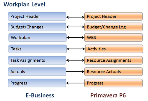 E-Business Suite