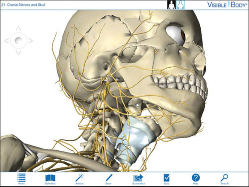 Visible Body 3D Human Anatomy Atlas