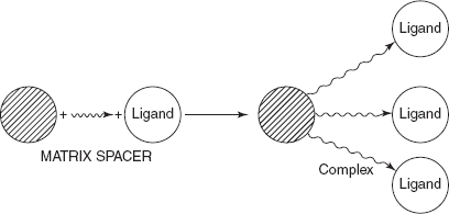 Attachment of the ligand to the matrix through spacer