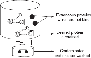 Extraction of the desired proteins