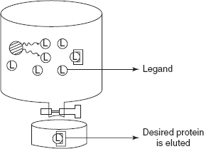 Separation of the mixture into the individual components