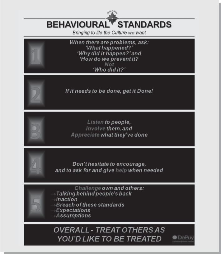 Figure 10.2 Behavioural Standards example