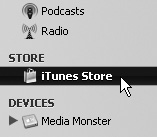 The iTunes Store icon.