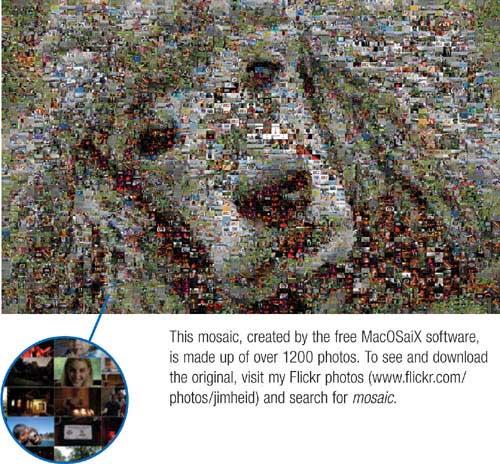 Make a photo mosaic.