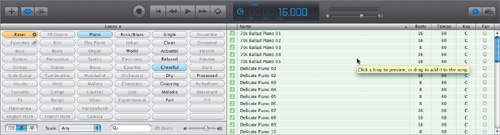 Using a Software Instrument Loop