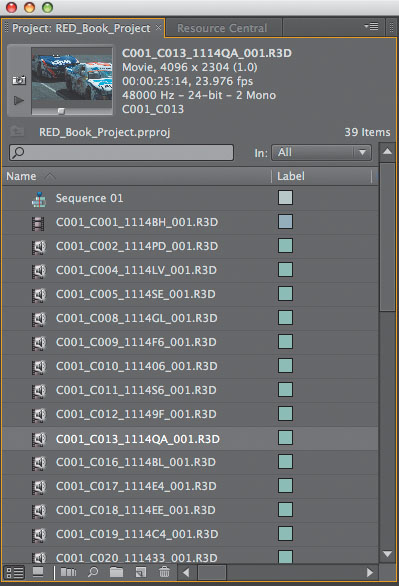 R3D files imported into a bin in the Project window.