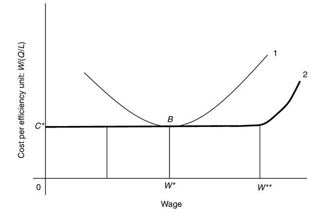 Figure 5.2 Wage and cost.