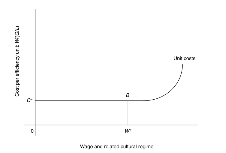 Figure 6.1 Wages and cost.