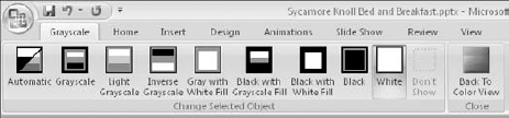 Select a grayscale or a black-and-white preview type.