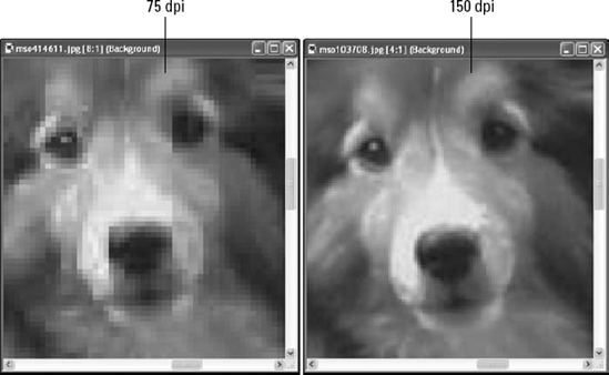 At high magnification, the difference in dpi for a scan is apparent.