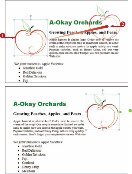 Move and Resize an Object