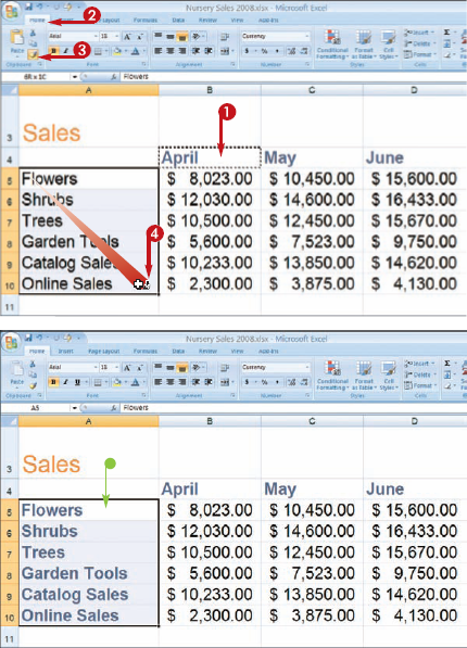 Copy Cell Formatting