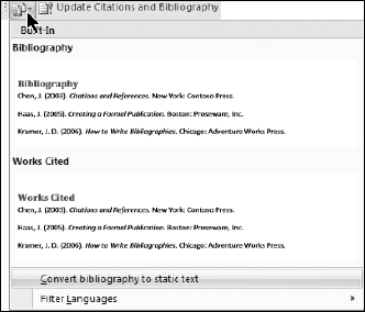 To copy a bibliography elsewhere, convert it to static text. (Filter Languages appears only if you have multiple languages installed on your computer.)