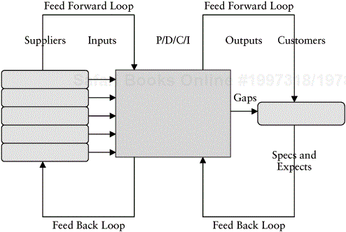 Feed Forward Loops