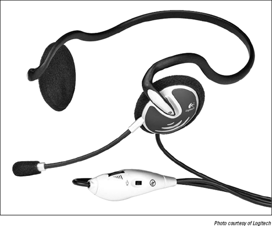 The Logitech Internet Chat Headset with mini-plug input.