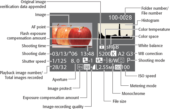 This diagram shows the information that is shown in single-image mode by pressing the Info button twice.