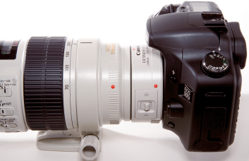 Extenders, such as this Canon EF 1.4 II mounted between the camera body and the lens, extend the range of L-series lenses. They increase the focal length by a factor of 1.4x, in addition to the 1.6x focal-length conversion factor inherent in the camera.