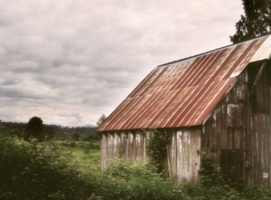 This image of an old barn with a rusty roof provided a good subject for post-capture manipulation in Photoshop CS2.