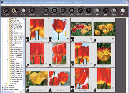 This figure shows Canon's Digital Photo Professional's main window with the toolbar for quick access to commonly accessed tasks.