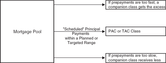 How PACs and TACs Reallocate Mortgage Prepayment Risk