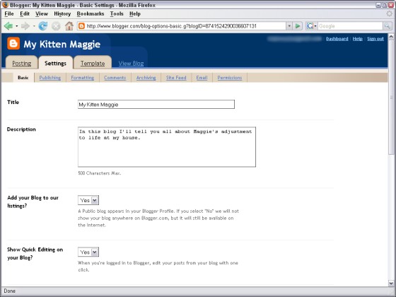 Figure 2-8: Using the Basic Settings tab to change the name or your blog or add a description.