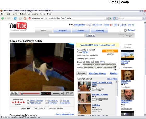 Figure 5-9: You can embed a YouTube video into a blog.