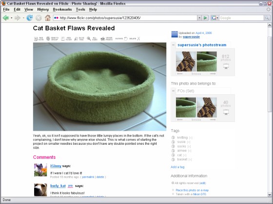Figure 13-3: When you post photos on Flickr, your friends and other Flickr members can leave comments for you.