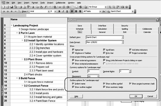 Format the work breakdown structure to make it easier to read. Tools > Options.