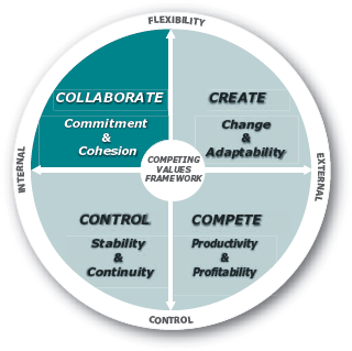 Creating and Sustaining Commitment and Cohesion